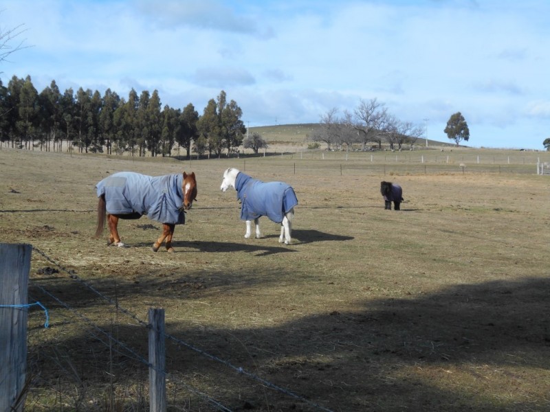 57 Inkerman Street, Triabunna TAS 7190