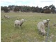11 Cruttenden Street, Buckland TAS 7190