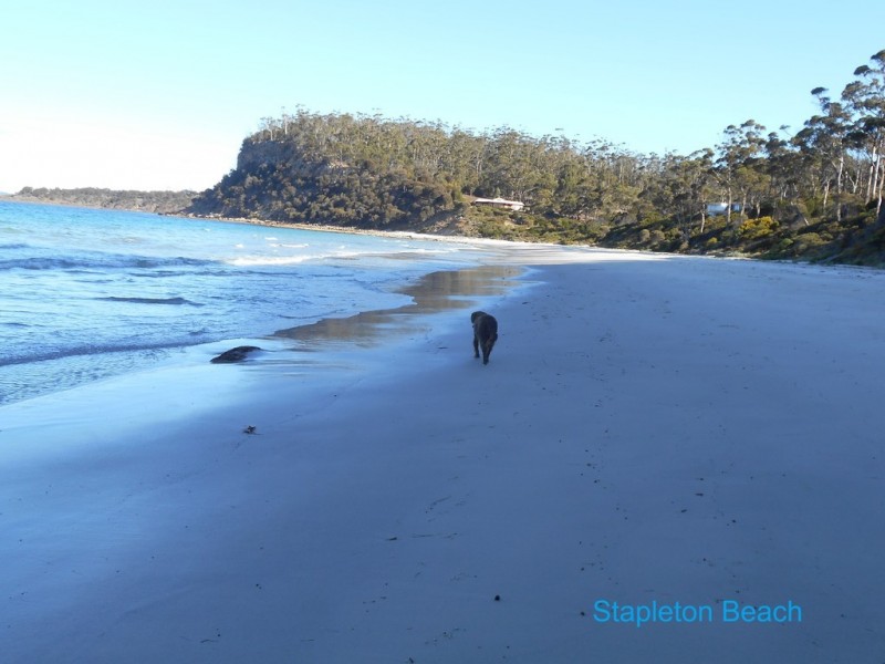 497 Rheban Road, Spring Beach TAS 7190