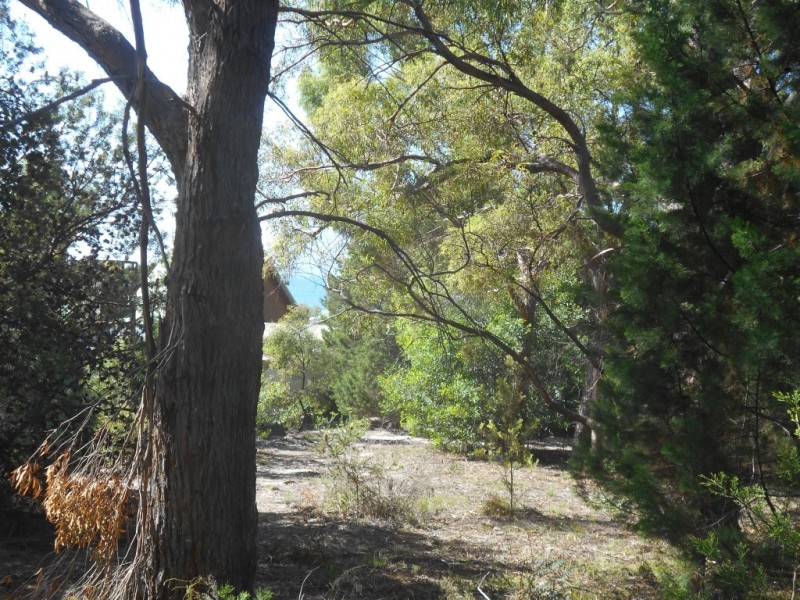 Lot 3A 284 Rheban Road, Spring Beach TAS 7190