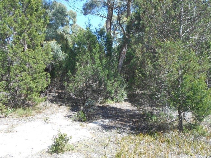 Lot 3A 284 Rheban Road, Spring Beach TAS 7190