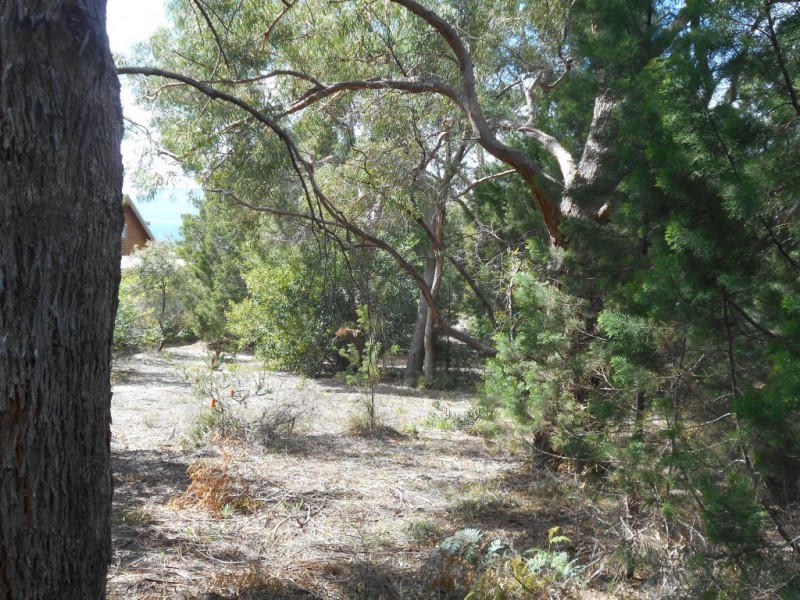 Lot 3A 284 Rheban Road, Spring Beach TAS 7190