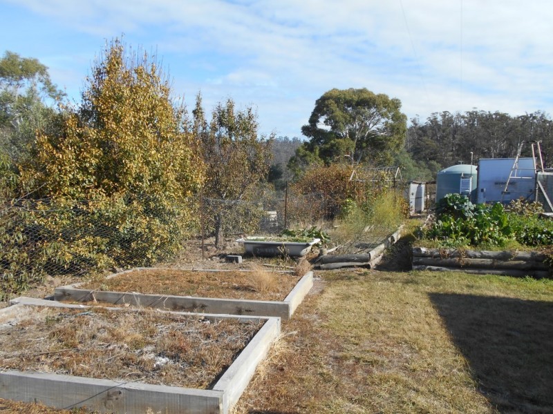 5598 Tasman Highway, Buckland TAS 7190