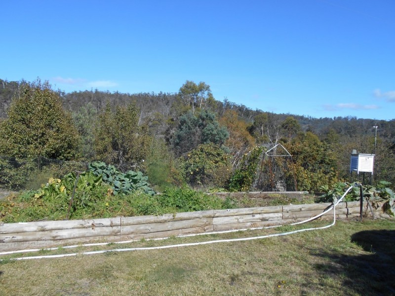 5598 Tasman Highway, Buckland TAS 7190