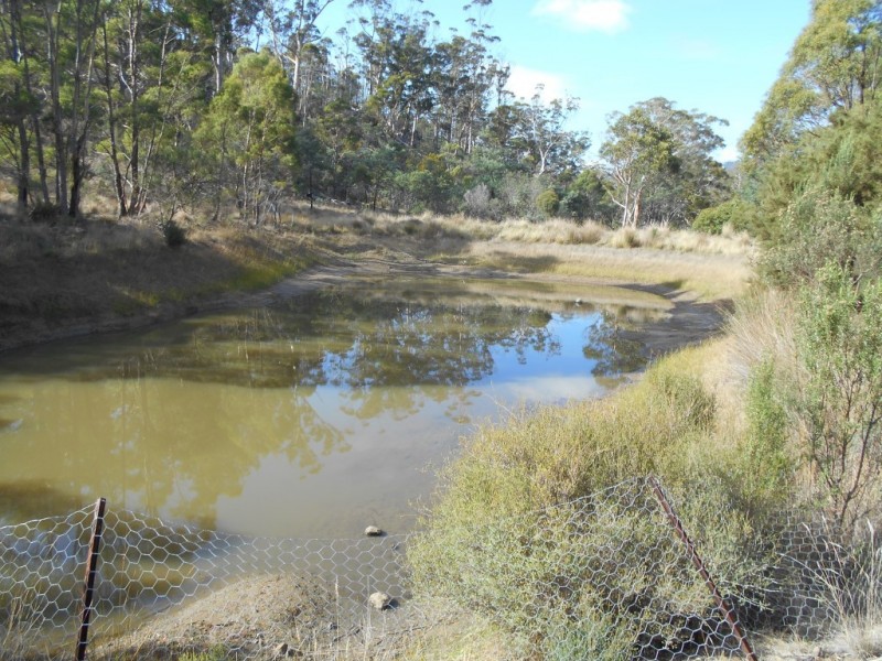5598 Tasman Highway, Buckland TAS 7190