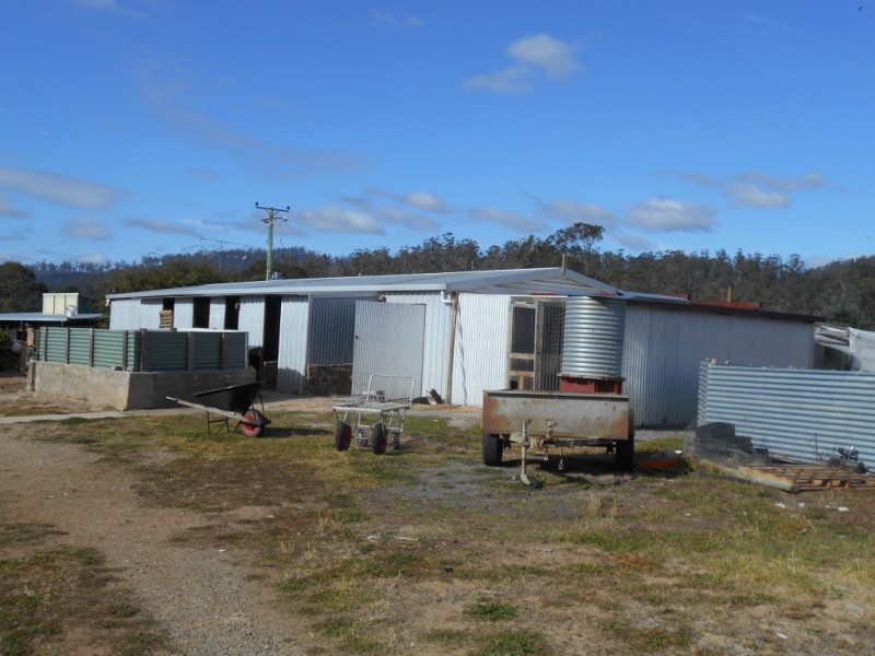 5598 Tasman Highway, Buckland TAS 7190
