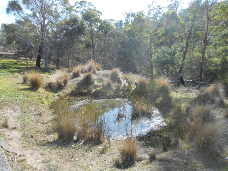 5598 Tasman Highway, Buckland TAS 7190