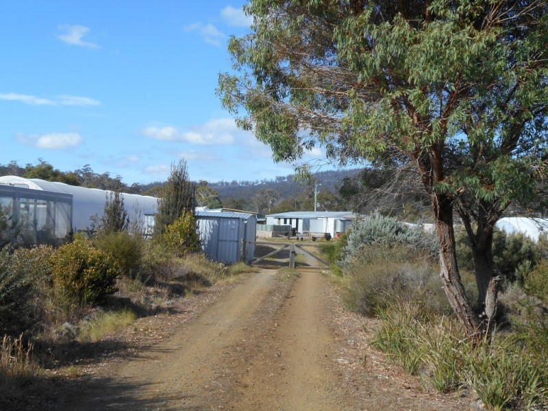 5598 Tasman Highway, Buckland TAS 7190