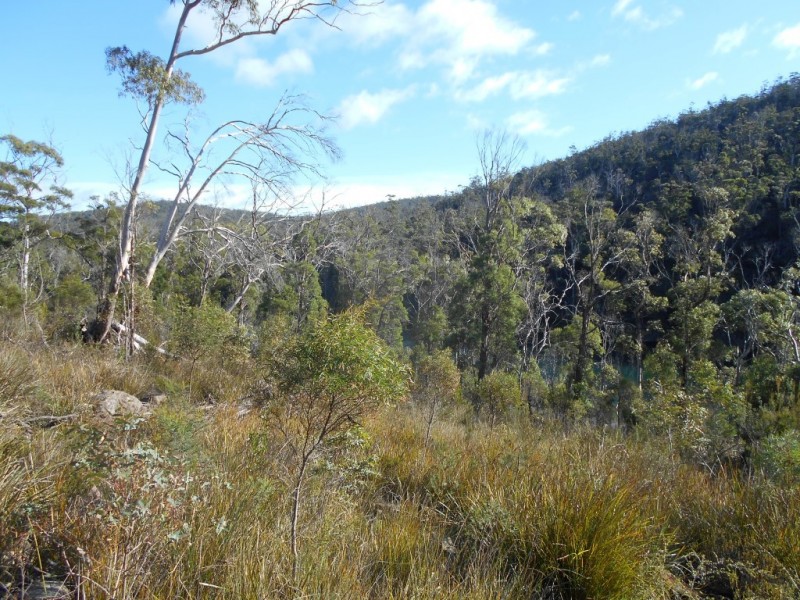 14 Paradise Court, Orford TAS 7190