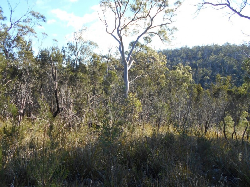 14 Paradise Court, Orford TAS 7190