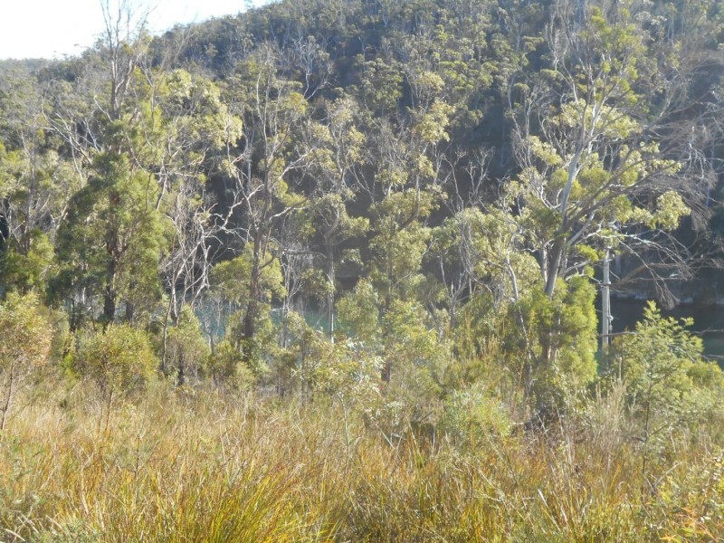 14 Paradise Court, Orford TAS 7190