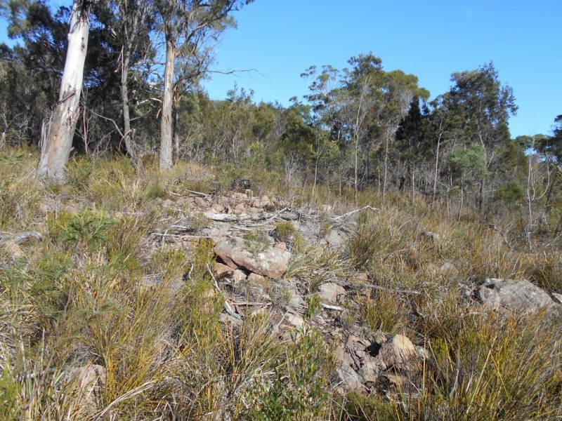 14 Paradise Court, Orford TAS 7190