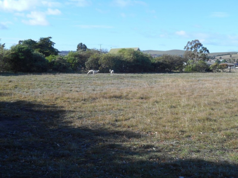 Lot 5 11 Victoria Street, Triabunna TAS 7190