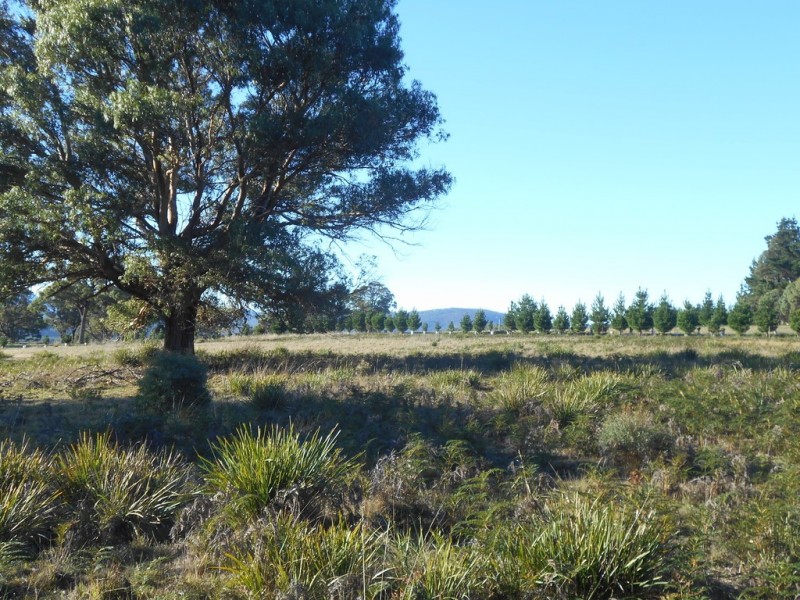 Lot 4 Nugent Road, Buckland TAS 7190