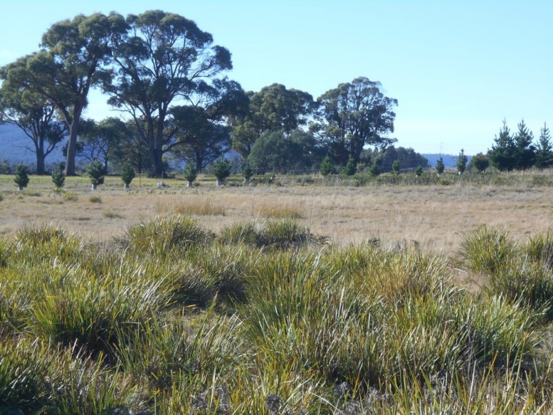 Lot 4 Nugent Road, Buckland TAS 7190