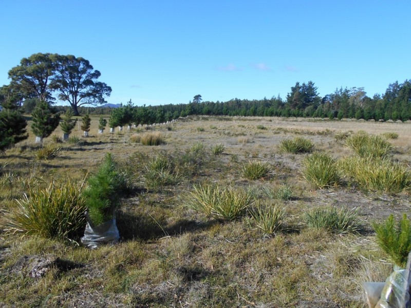 Lot 4 Nugent Road, Buckland TAS 7190