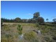 Lot 4 Nugent Road, Buckland TAS 7190