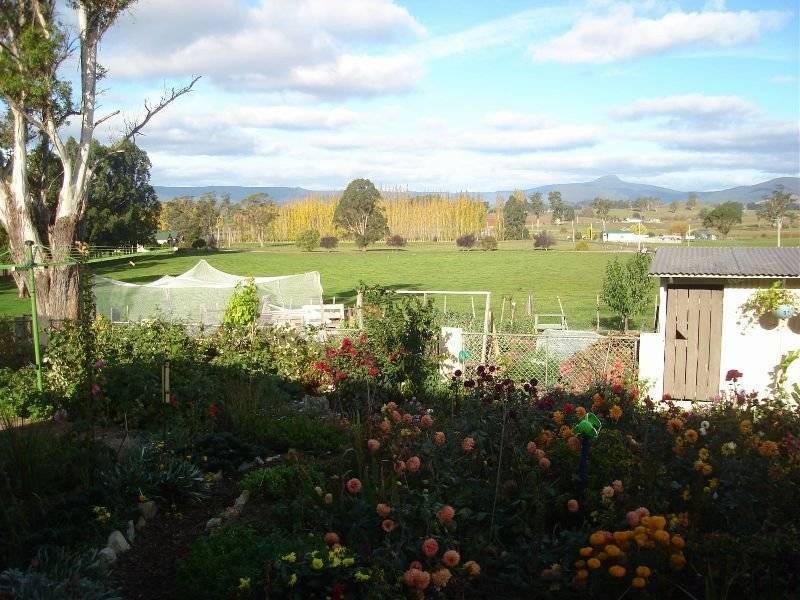 75 Ringarooma Road, Legerwood TAS 7263