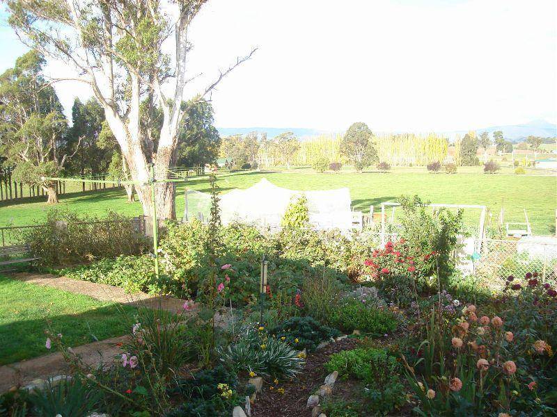 75 Ringarooma Road, Legerwood TAS 7263