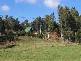 11 Maurice Road, Talawa TAS 7263