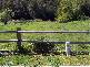 69 Main Street, Derby TAS 7264