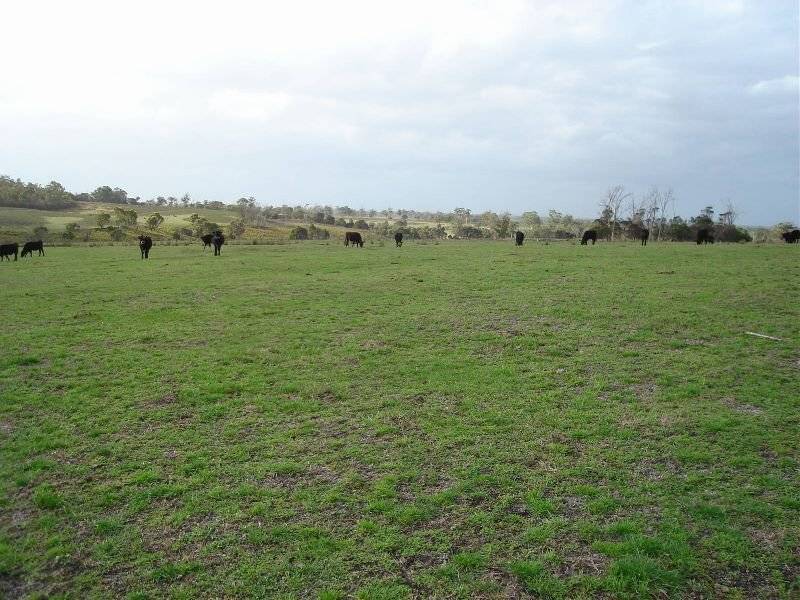 . Bridport Road, Bridport TAS 7262