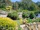 74 Main Street, Derby TAS 7264