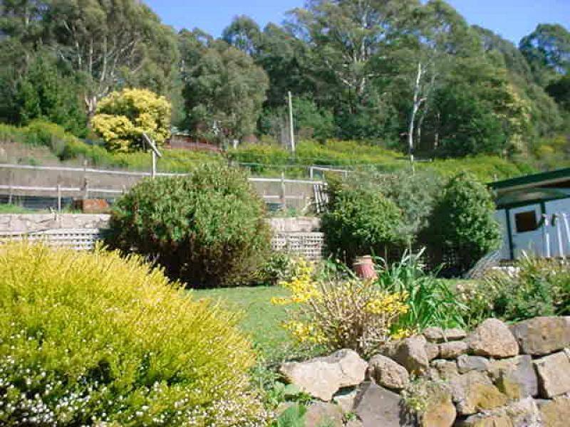 74 Main Street, Derby TAS 7264
