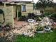 8 Diprose Street, Legerwood TAS 7263