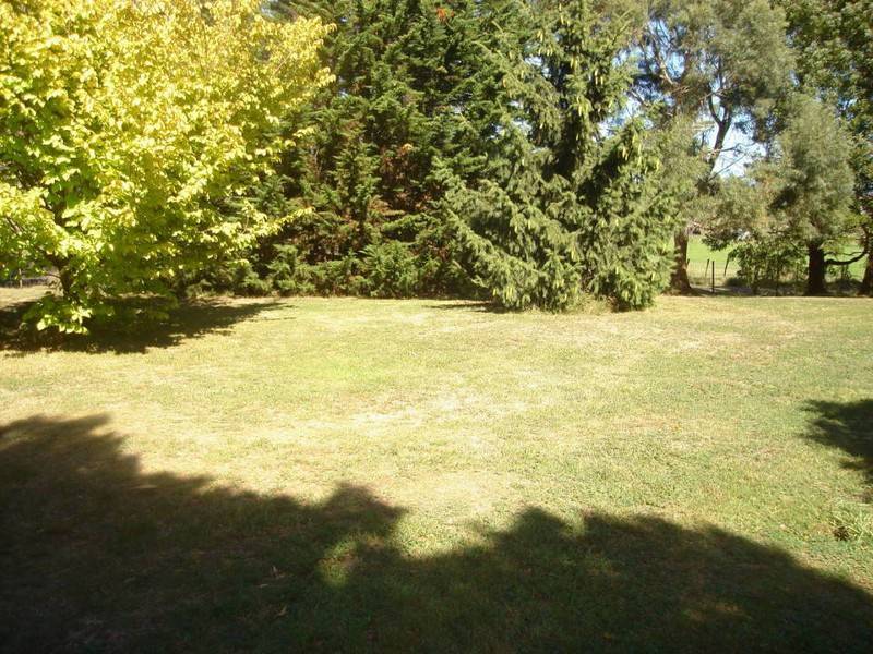 3 William Street, Scottsdale TAS 7260