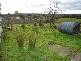 14 Chaffey Street, Gladstone TAS 7264