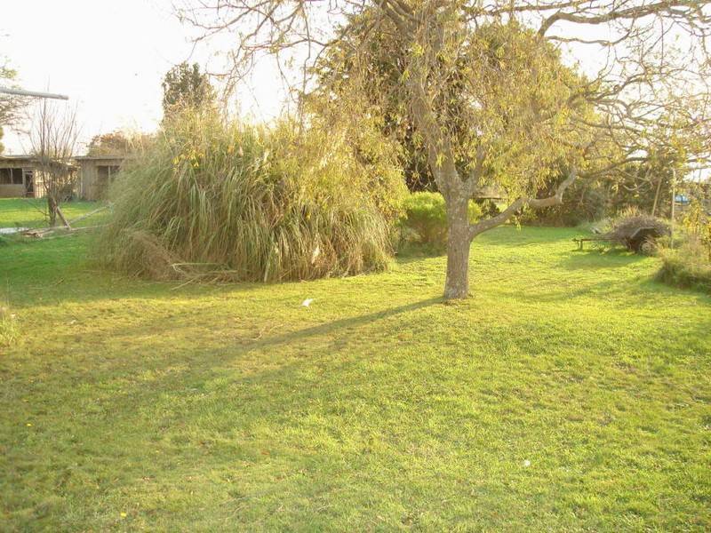 10 East Maurice Road, Ringarooma TAS 7263