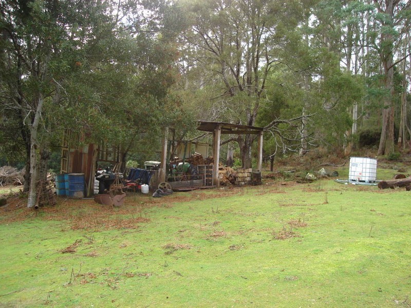 31 Banks Road, Derby TAS 7264