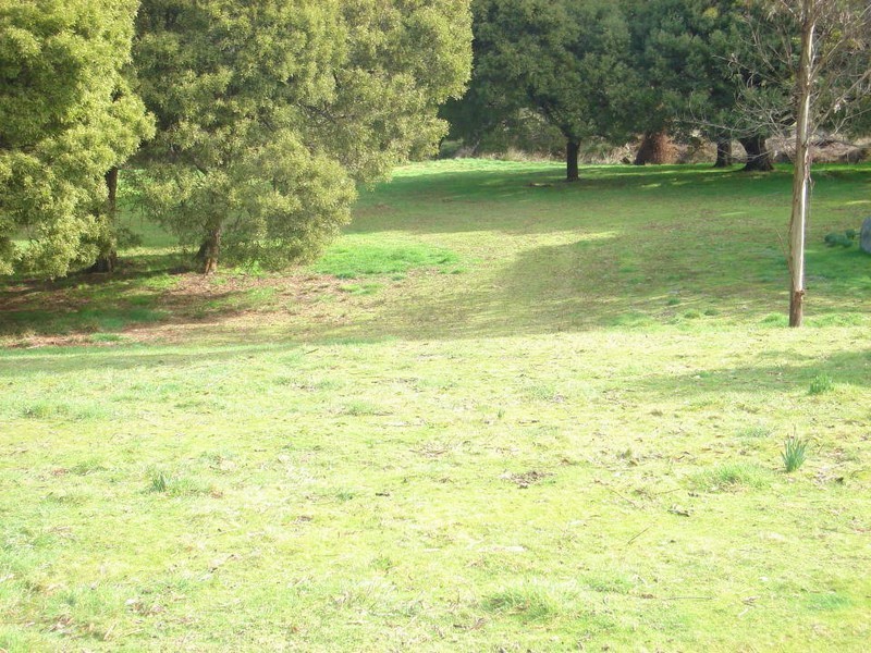 1496 Golconda Road, Wyena, Scottsdale TAS 7260