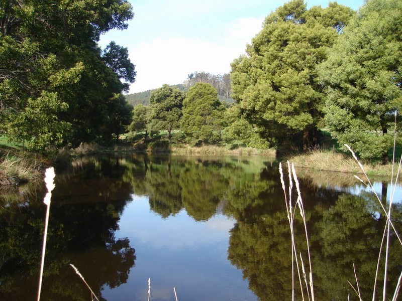 194 Pennells Road, Scottsdale TAS 7260