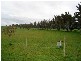 72  Carisbrook Lane, Legerwood TAS 7263