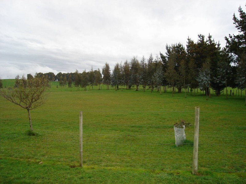 72  Carisbrook Lane, Legerwood TAS 7263