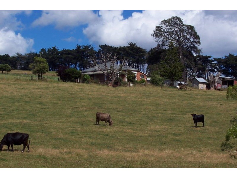 115 North Scottsdale Road, Scottsdale TAS 7260