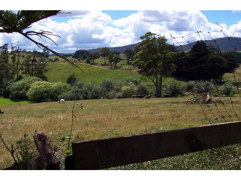 115 North Scottsdale Road, Scottsdale TAS 7260