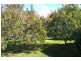 401 East Minstone Road, Scottsdale TAS 7260
