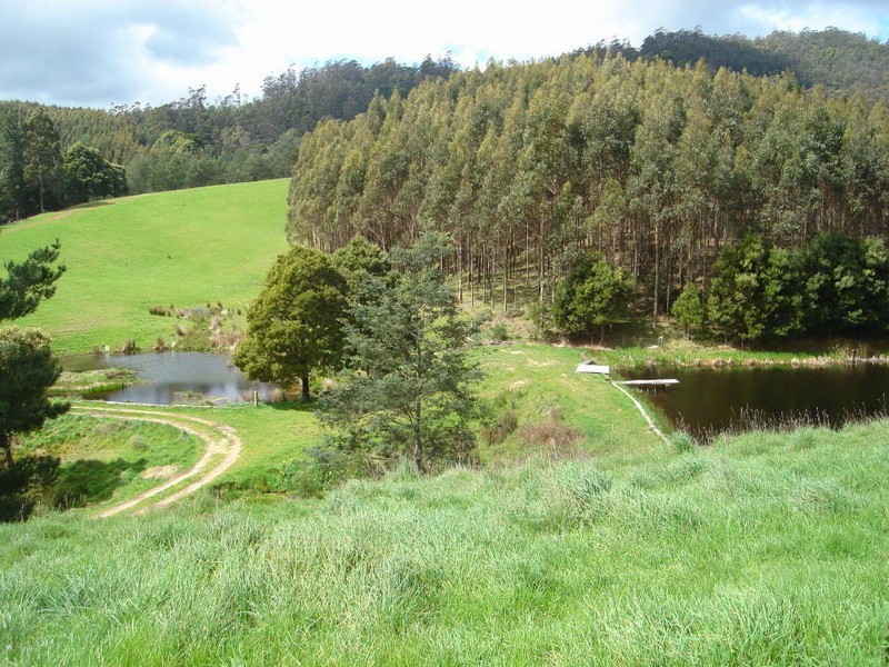 219-221 Upper Brid Road, Scottsdale TAS 7260