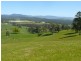 Cuckoo Road, Scottsdale TAS 7260