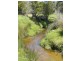 Cuckoo Road, Scottsdale TAS 7260