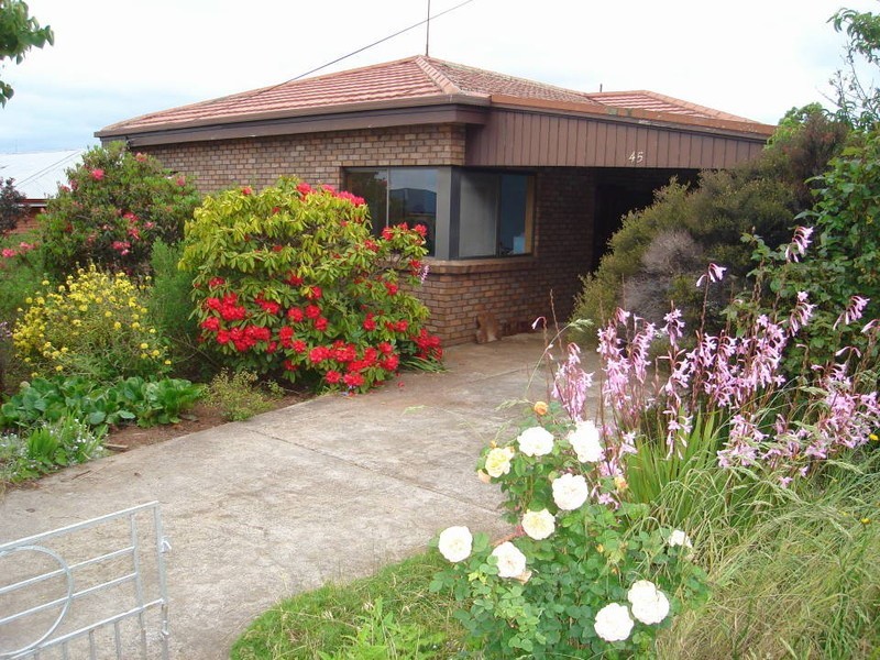 45 Ellenor Street, Scottsdale TAS 7260