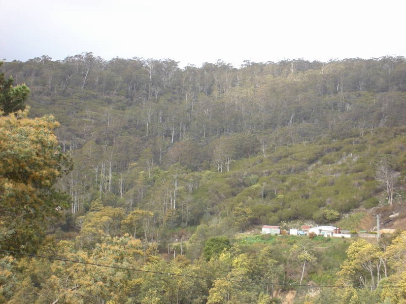 10 Mulhern Street, Derby TAS 7264