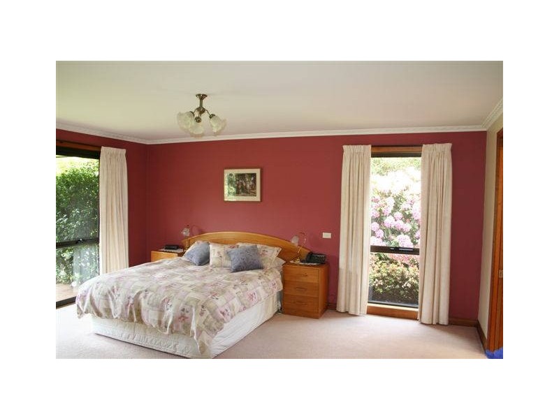 36 Ringarooma Road, Scottsdale TAS 7260