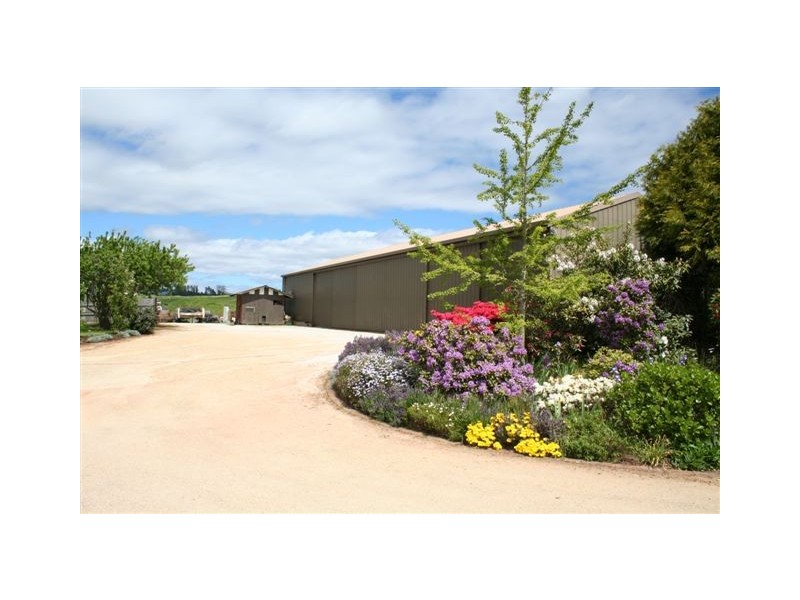 36 Ringarooma Road, Scottsdale TAS 7260