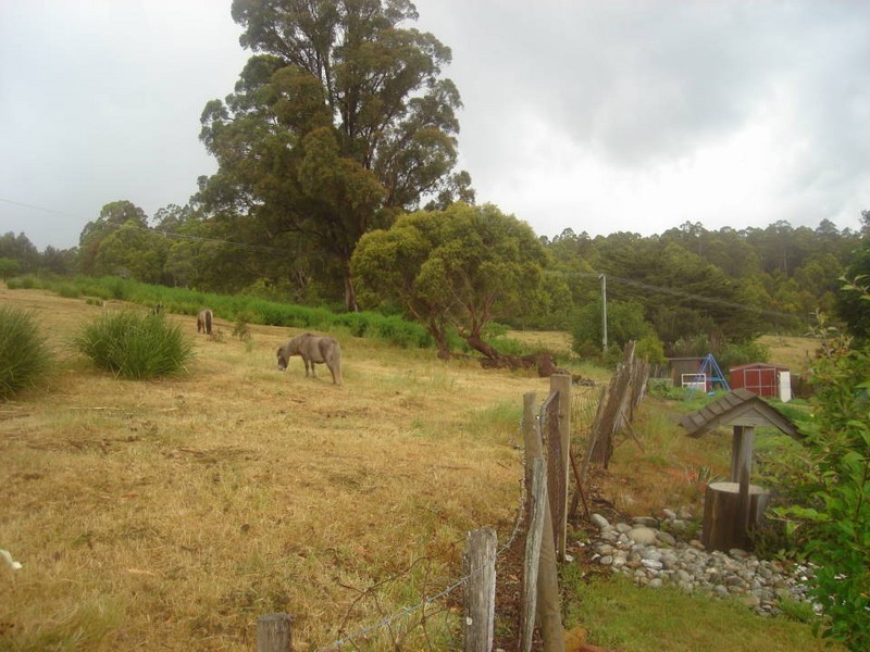 Lot 13 Short Street, Branxholm TAS 7261