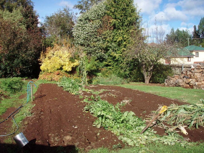 16 Main Street, Ringarooma TAS 7263