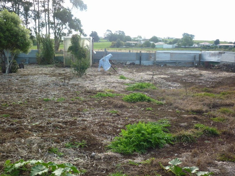 13 Winnaleah Road, Winnaleah TAS 7265